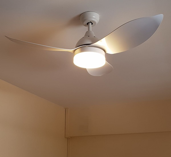 BS700 reference image 3