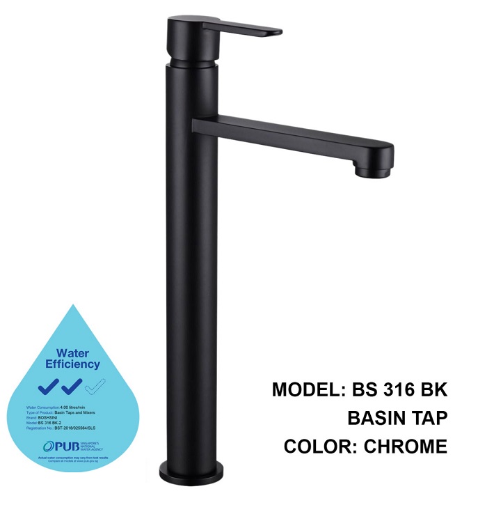 BS 316 BK