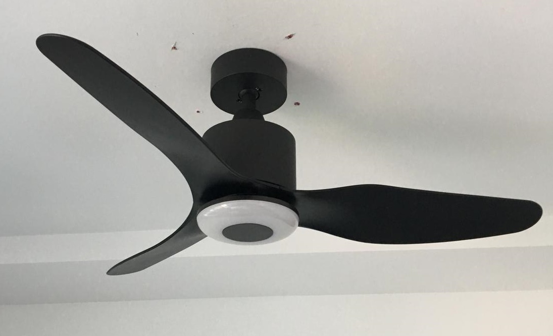 Crestar Ninja Air 48 Inch DC Motor 